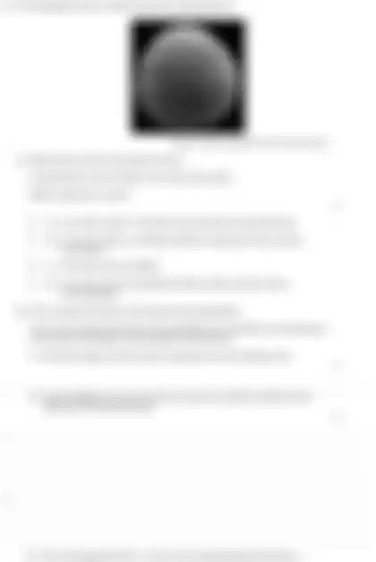 Blurred preview of the question