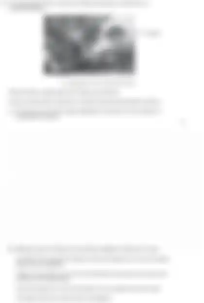 Blurred preview of the question