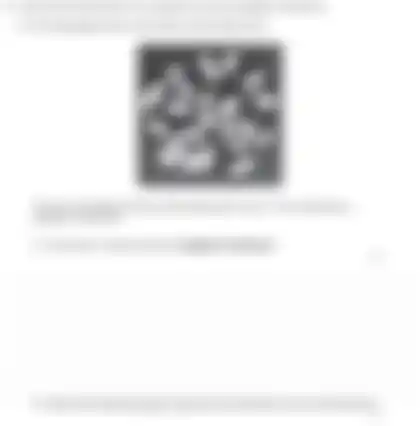 Blurred preview of the question