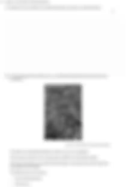 Blurred preview of the question