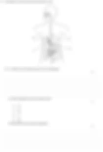 Blurred preview of the question