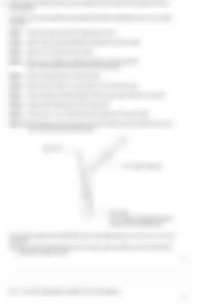 Blurred preview of the question