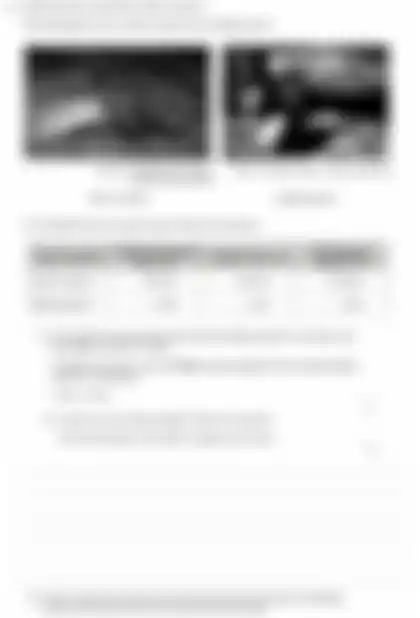 Blurred preview of the question