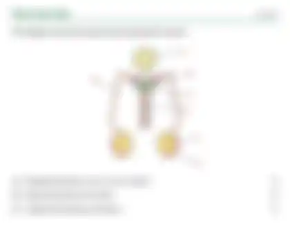 Blurred preview of the question