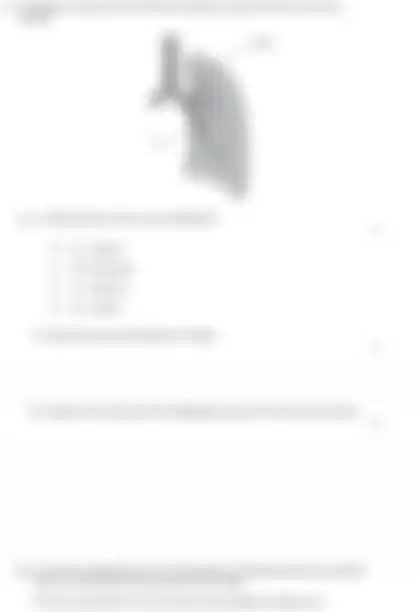 Blurred preview of the question