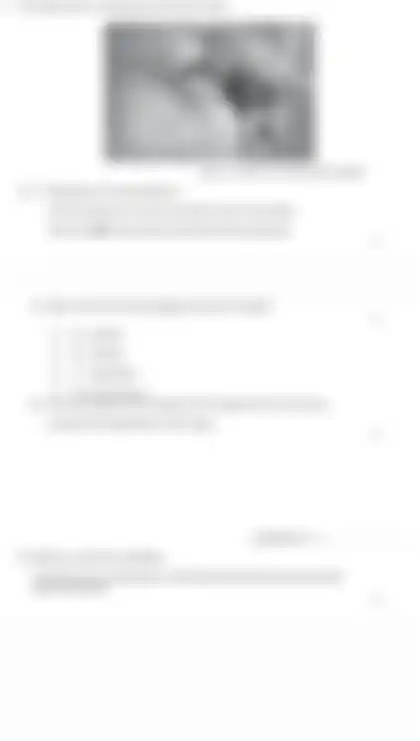 Blurred preview of the question
