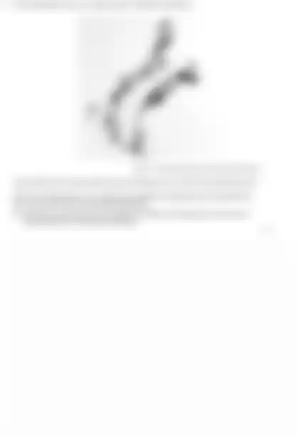 Blurred preview of the question