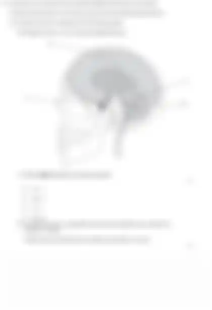 Blurred preview of the question