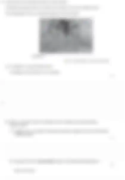 Blurred preview of the question