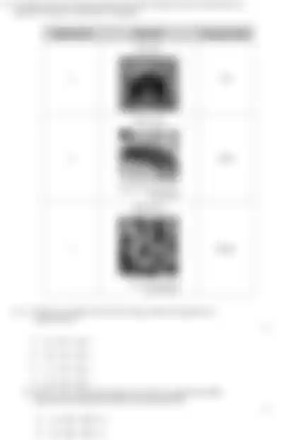 Blurred preview of the question