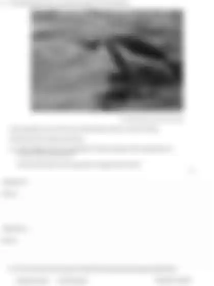 Blurred preview of the question