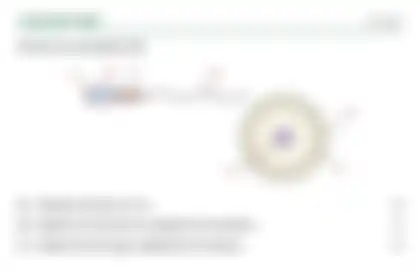 Blurred preview of the question