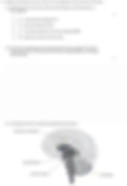Blurred preview of the question
