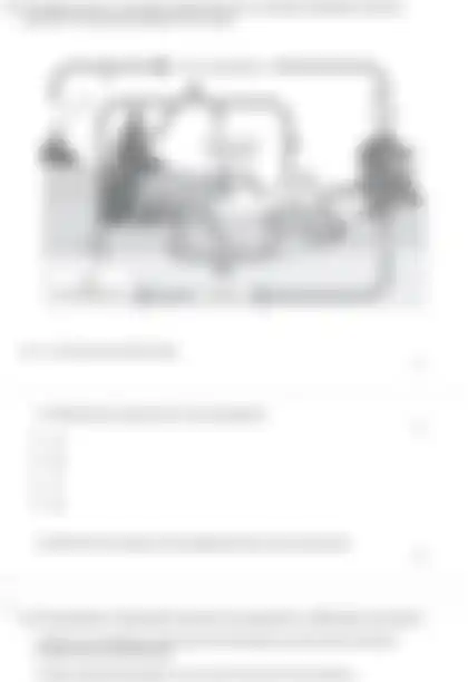 Blurred preview of the question