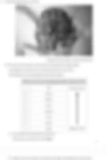 Blurred preview of the question