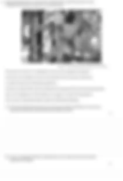 Blurred preview of the question