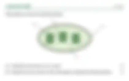 Blurred preview of the question