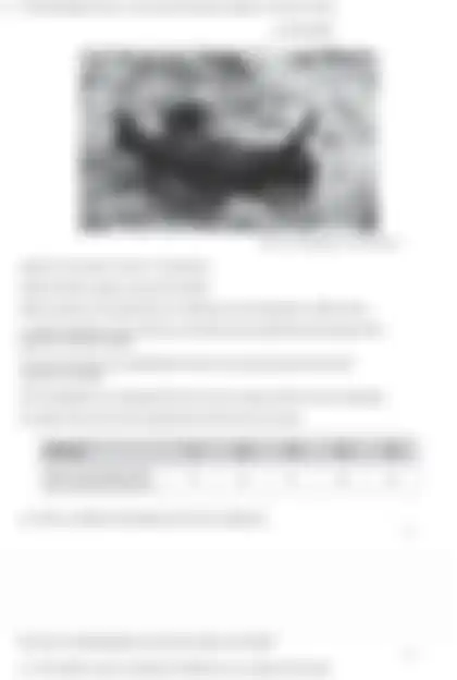 Blurred preview of the question