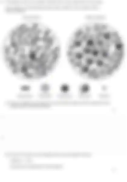 Blurred preview of the question