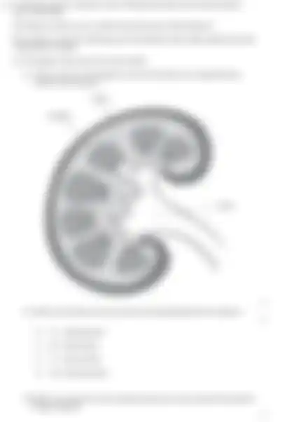 Blurred preview of the question