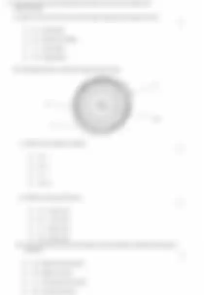 Blurred preview of the question