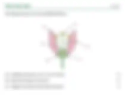 Blurred preview of the question