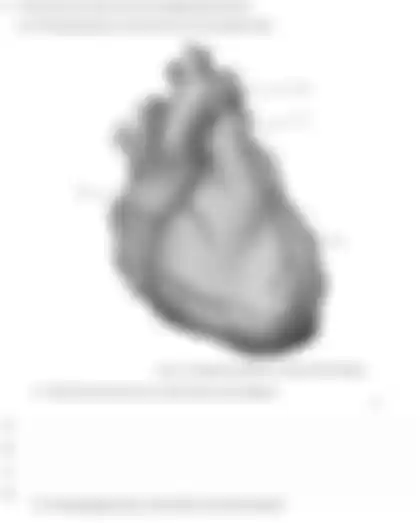 Blurred preview of the question