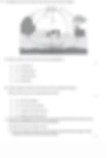 Blurred preview of the question