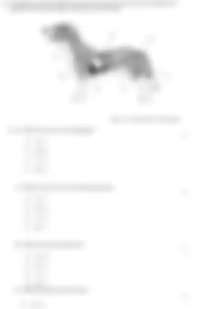 Blurred preview of the question