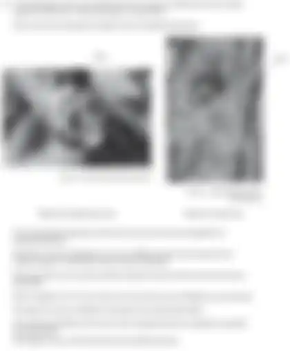 Blurred preview of the question