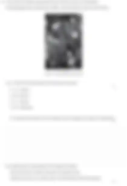 Blurred preview of the question