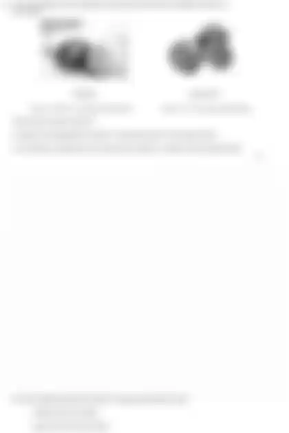 Blurred preview of the question