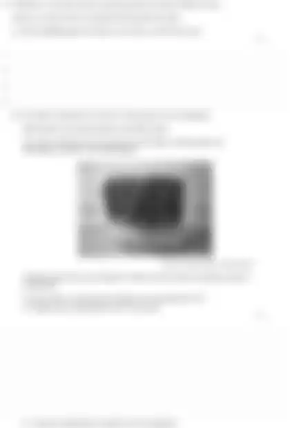 Blurred preview of the question