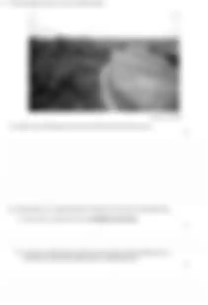Blurred preview of the question