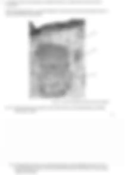 Blurred preview of the question