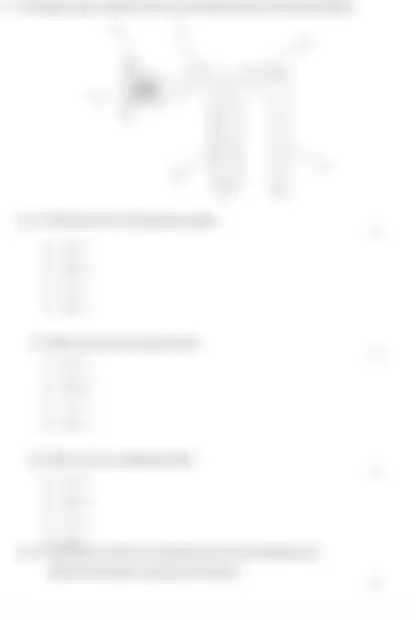 Blurred preview of the question