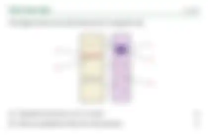 Blurred preview of the question