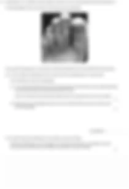 Blurred preview of the question