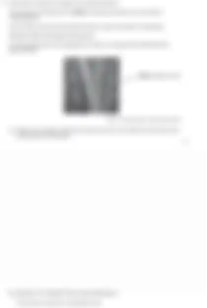 Blurred preview of the question