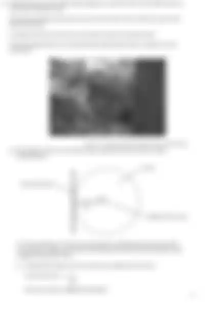 Blurred preview of the question