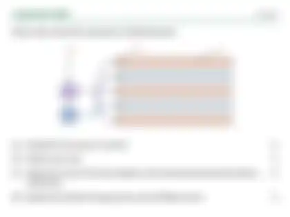 Blurred preview of the question