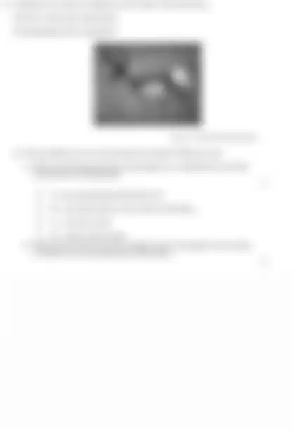 Blurred preview of the question