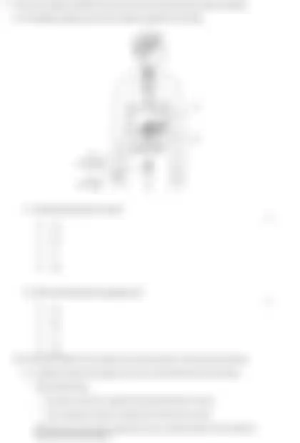 Blurred preview of the question