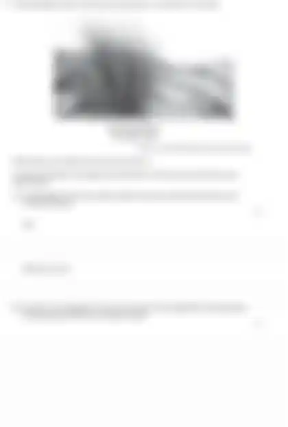 Blurred preview of the question