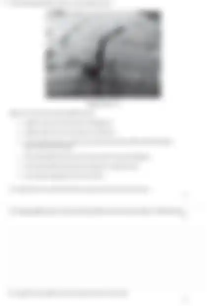 Blurred preview of the question