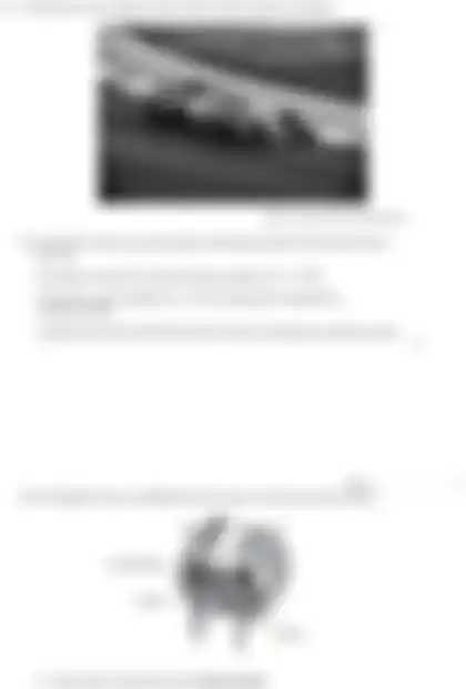 Blurred preview of the question