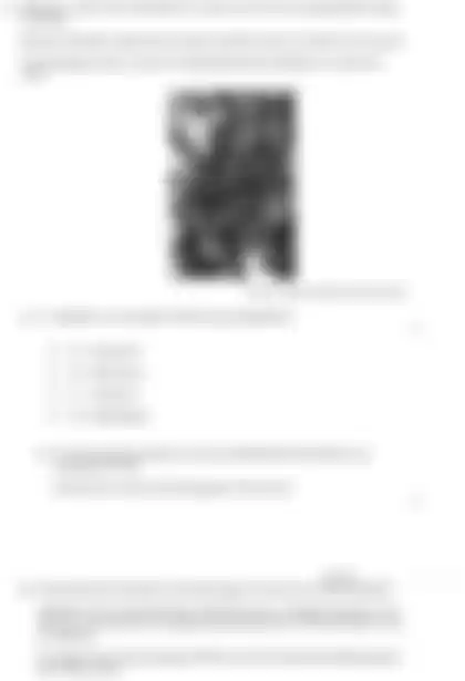 Blurred preview of the question