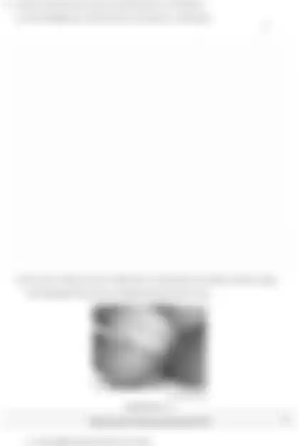 Blurred preview of the question