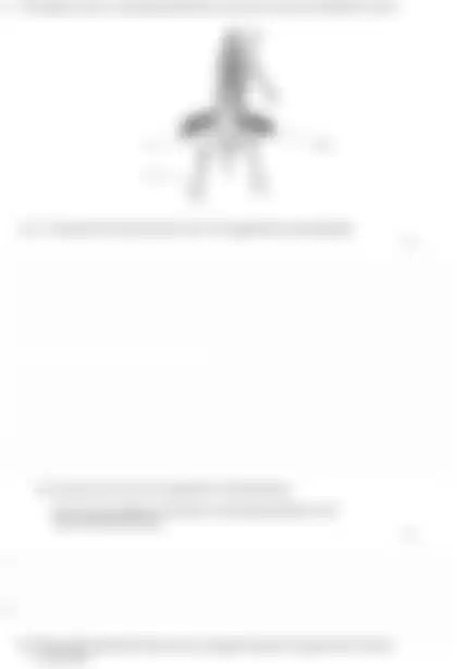 Blurred preview of the question