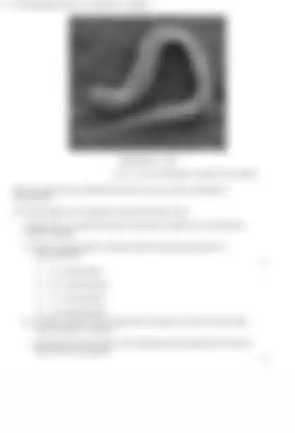 Blurred preview of the question